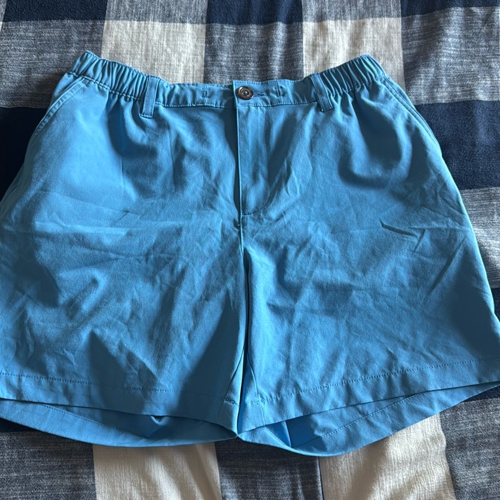 Men’s Chubbies Shorts Blue